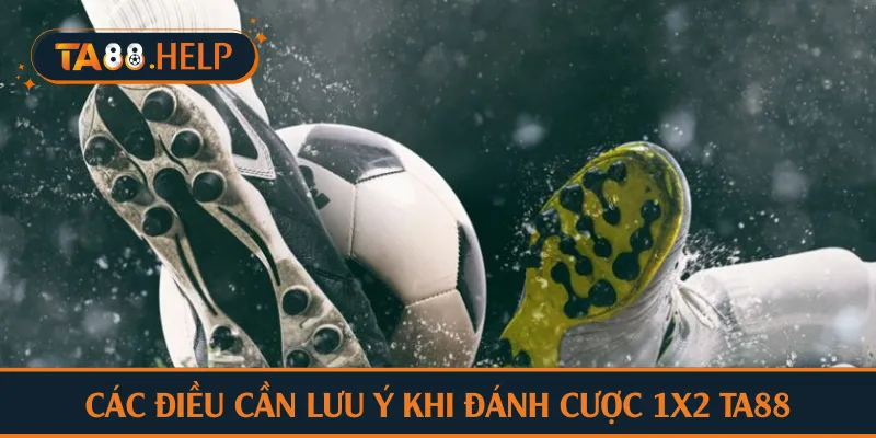 Các điều cần lưu ý khi người chơi đánh cược 1X2 TA88