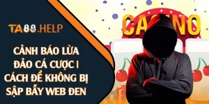 Cảnh Báo Lừa Đảo Cá Cược | Cách Để Không Bị Sập Bẫy Web Đen