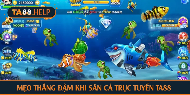 Mẹo thắng đậm khi săn cá trực tuyến TA88 